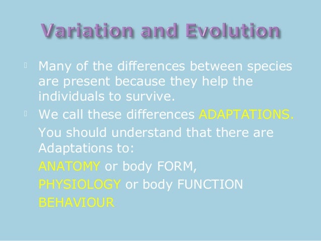 Variation 2
