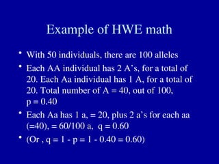 Example of HWE math
• With 50 individuals, there are 100 alleles
• Each AA individual has 2 A’s, for a total of
20. Each Aa individual has 1 A, for a total of
20. Total number of A = 40, out of 100,
p = 0.40
• Each Aa has 1 a, = 20, plus 2 a’s for each aa
(=40), = 60/100 a, q = 0.60
• (Or , q = 1 - p = 1 - 0.40 = 0.60)
 