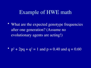 Example of HWE math
• What are the expected genotype frequencies
after one generation? (Assume no
evolutionary agents are acting!)
• p2
+ 2pq + q2
= 1 and p = 0.40 and q = 0.60
 