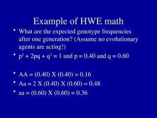 Example of HWE math
• What are the expected genotype frequencies
after one generation? (Assume no evolutionary
agents are acting!)
• p2
+ 2pq + q2
= 1 and p = 0.40 and q = 0.60
• AA = (0.40) X (0.40) = 0.16
• Aa = 2 X (0.40) X (0.60) = 0.48
• aa = (0.60) X (0.60) = 0.36
 