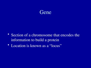 Gene
• Section of a chromosome that encodes the
information to build a protein
• Location is known as a “locus”
 