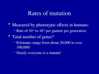 Rates of mutation
• Measured by phenotypic effects in humans:
– Rate of 10-6
to 10-5
per gamete per generation
• Total number of genes?
– Estimates range from about 30,000 to over
100,000!
– Nearly everyone is a mutant!
 