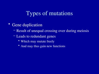 Types of mutations
• Gene duplication
– Result of unequal crossing over during meiosis
– Leads to redundant genes
• Which may mutate freely
• And may thus gain new functions
 