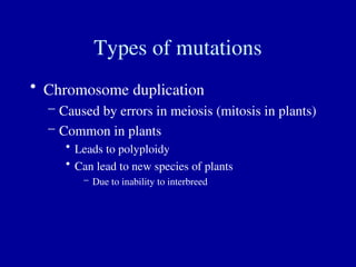 Types of mutations
• Chromosome duplication
– Caused by errors in meiosis (mitosis in plants)
– Common in plants
• Leads to polyploidy
• Can lead to new species of plants
– Due to inability to interbreed
 