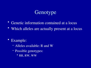 Genotype
• Genetic information contained at a locus
• Which alleles are actually present at a locus
• Example:
– Alleles available: R and W
– Possible genotypes:
• RR, RW, WW
 