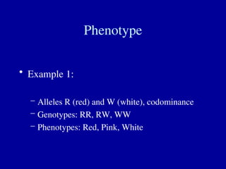 Phenotype
• Example 1:
– Alleles R (red) and W (white), codominance
– Genotypes: RR, RW, WW
– Phenotypes: Red, Pink, White
 