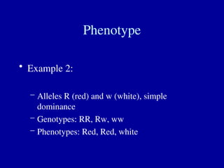 Phenotype
• Example 2:
– Alleles R (red) and w (white), simple
dominance
– Genotypes: RR, Rw, ww
– Phenotypes: Red, Red, white
 