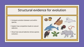 Understanding Evolution: DNA, Structural Evidence, and Natural ...