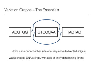 Variation Graphs – The Essentials
GTCCCAAACGTGG TTACTAC
Joins can connect either side of a sequence (bidirected edges)
Wal...