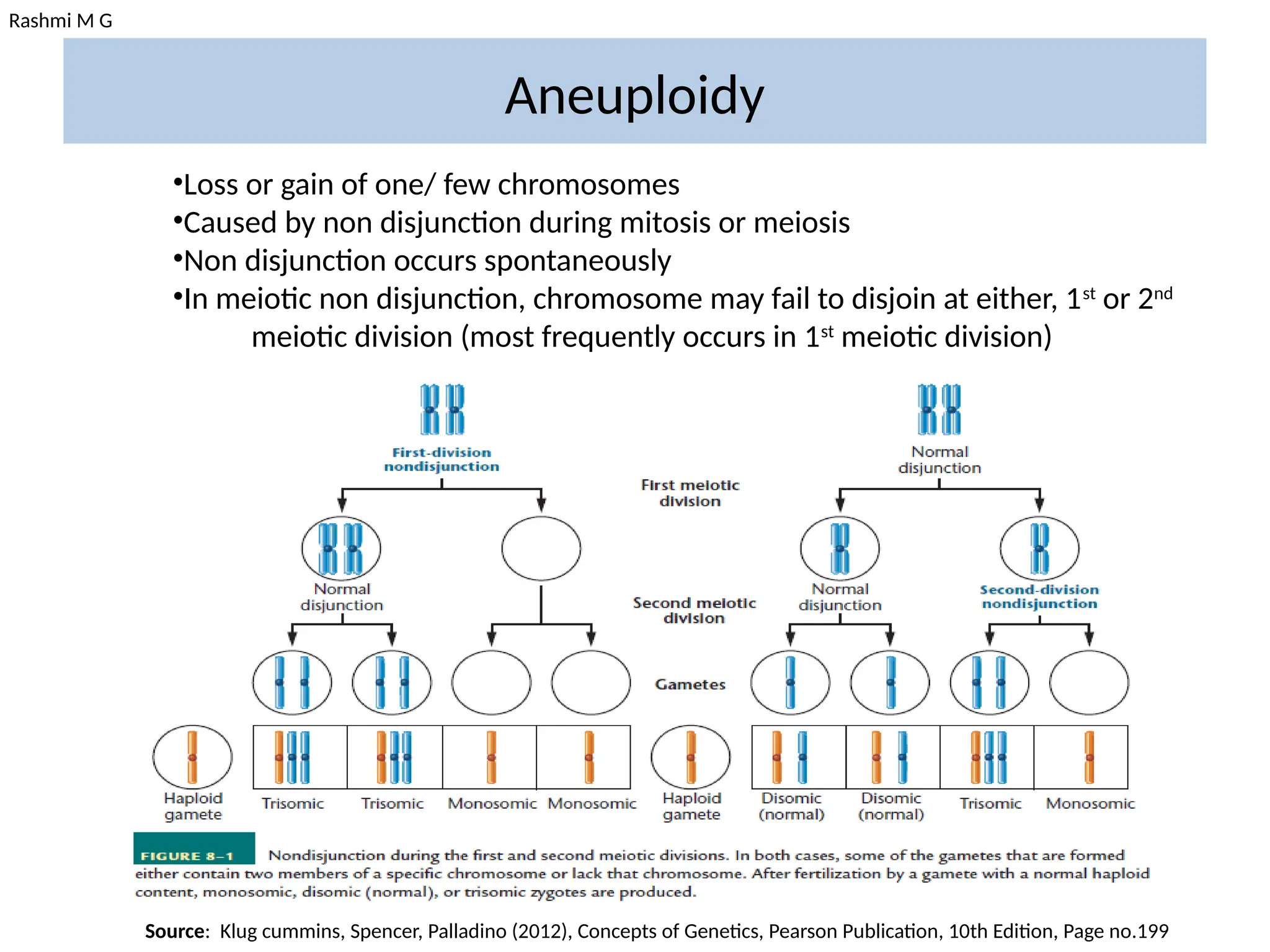 Rashmi M G
Aneuploidy
•Loss or gain of one/ few chromosomes
•Caused by non disjunction during mitosis or meiosis
•Non disjunction occurs spontaneously
•In meiotic non disjunction, chromosome may fail to disjoin at either, 1st
or 2nd
meiotic division (most frequently occurs in 1st
meiotic division)
Source: Klug cummins, Spencer, Palladino (2012), Concepts of Genetics, Pearson Publication, 10th Edition, Page no.199
 