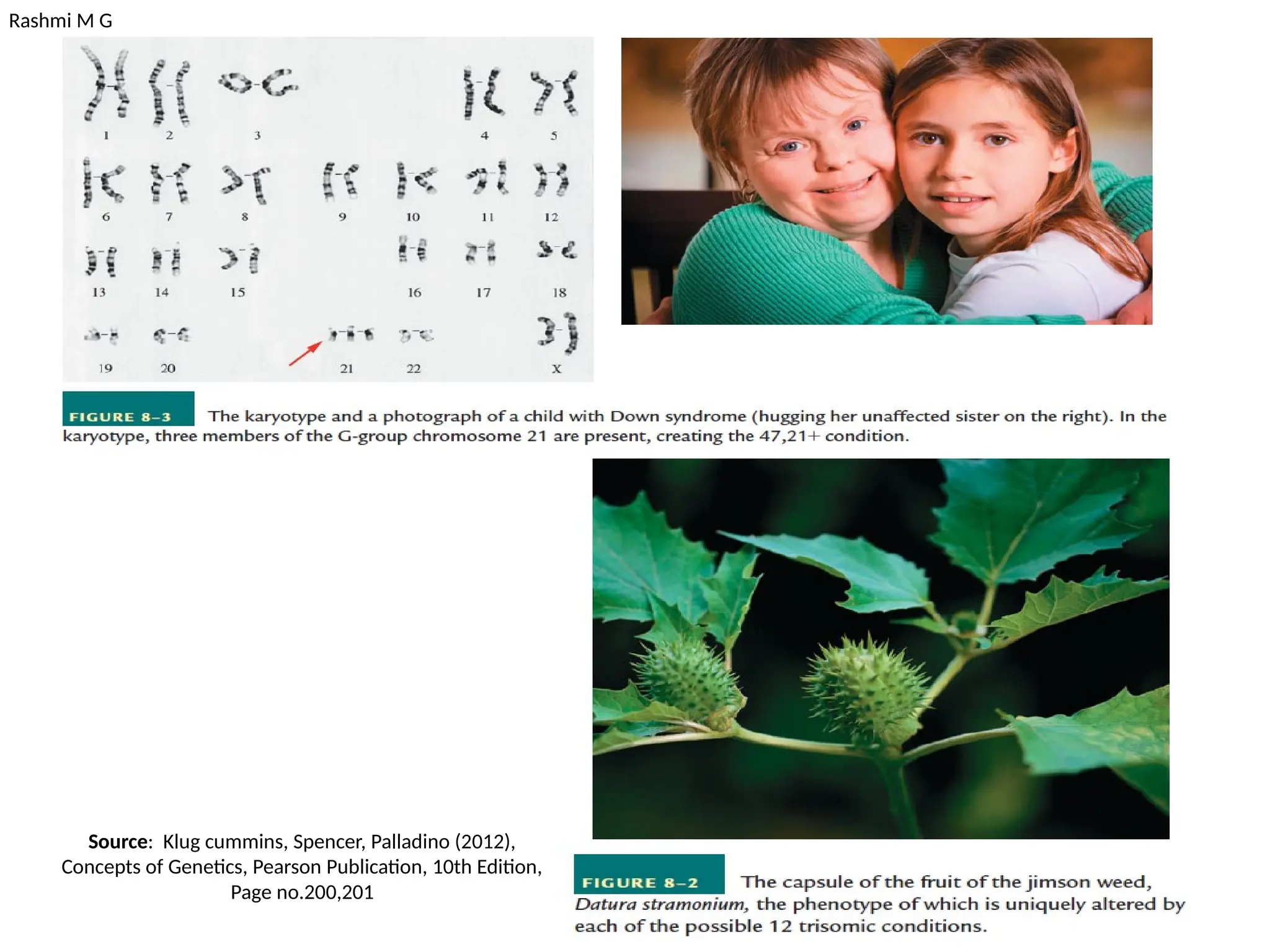 Rashmi M G
Source: Klug cummins, Spencer, Palladino (2012),
Concepts of Genetics, Pearson Publication, 10th Edition,
Page no.200,201
 