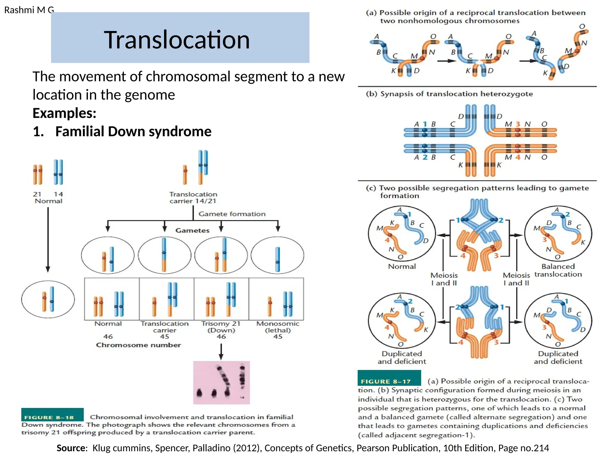 Rashmi M G
Translocation
The movement of chromosomal segment to a new
location in the genome
Examples:
1. Familial Down syndrome
Source: Klug cummins, Spencer, Palladino (2012), Concepts of Genetics, Pearson Publication, 10th Edition, Page no.214
 