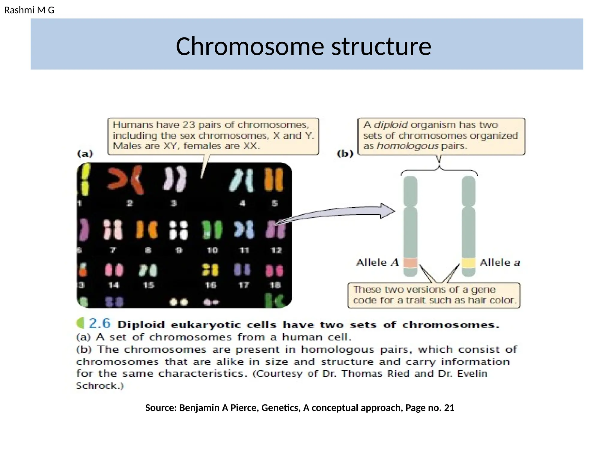 Rashmi M G
Chromosome structure
Source: Benjamin A Pierce, Genetics, A conceptual approach, Page no. 21
 