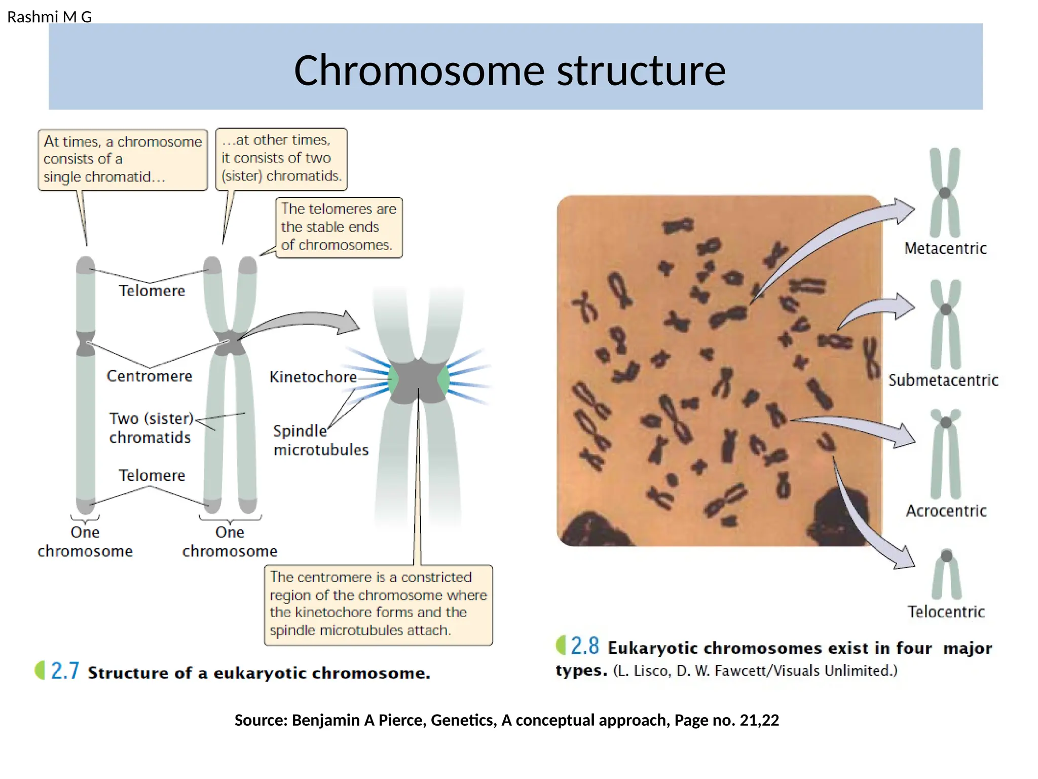 Rashmi M G
Chromosome structure
Source: Benjamin A Pierce, Genetics, A conceptual approach, Page no. 21,22
 