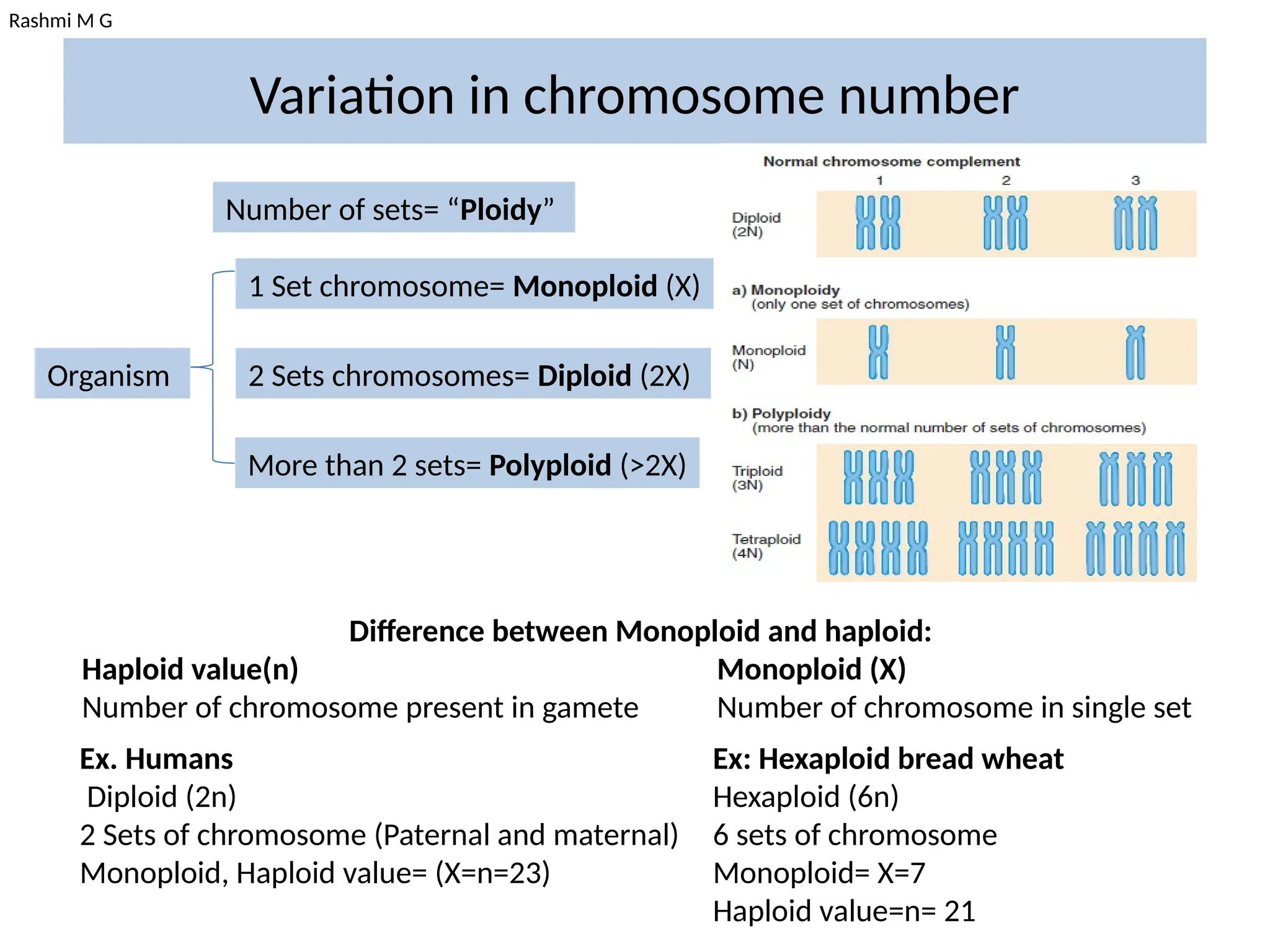 Rashmi M G
Variation in chromosome number
Organism
1 Set chromosome= Monoploid (X)
2 Sets chromosomes= Diploid (2X)
More than 2 sets= Polyploid (>2X)
Number of sets= “Ploidy”
Difference between Monoploid and haploid:
Haploid value(n) Monoploid (X)
Number of chromosome present in gamete Number of chromosome in single set
Ex. Humans
Diploid (2n)
2 Sets of chromosome (Paternal and maternal)
Monoploid, Haploid value= (X=n=23)
Ex: Hexaploid bread wheat
Hexaploid (6n)
6 sets of chromosome
Monoploid= X=7
Haploid value=n= 21
 