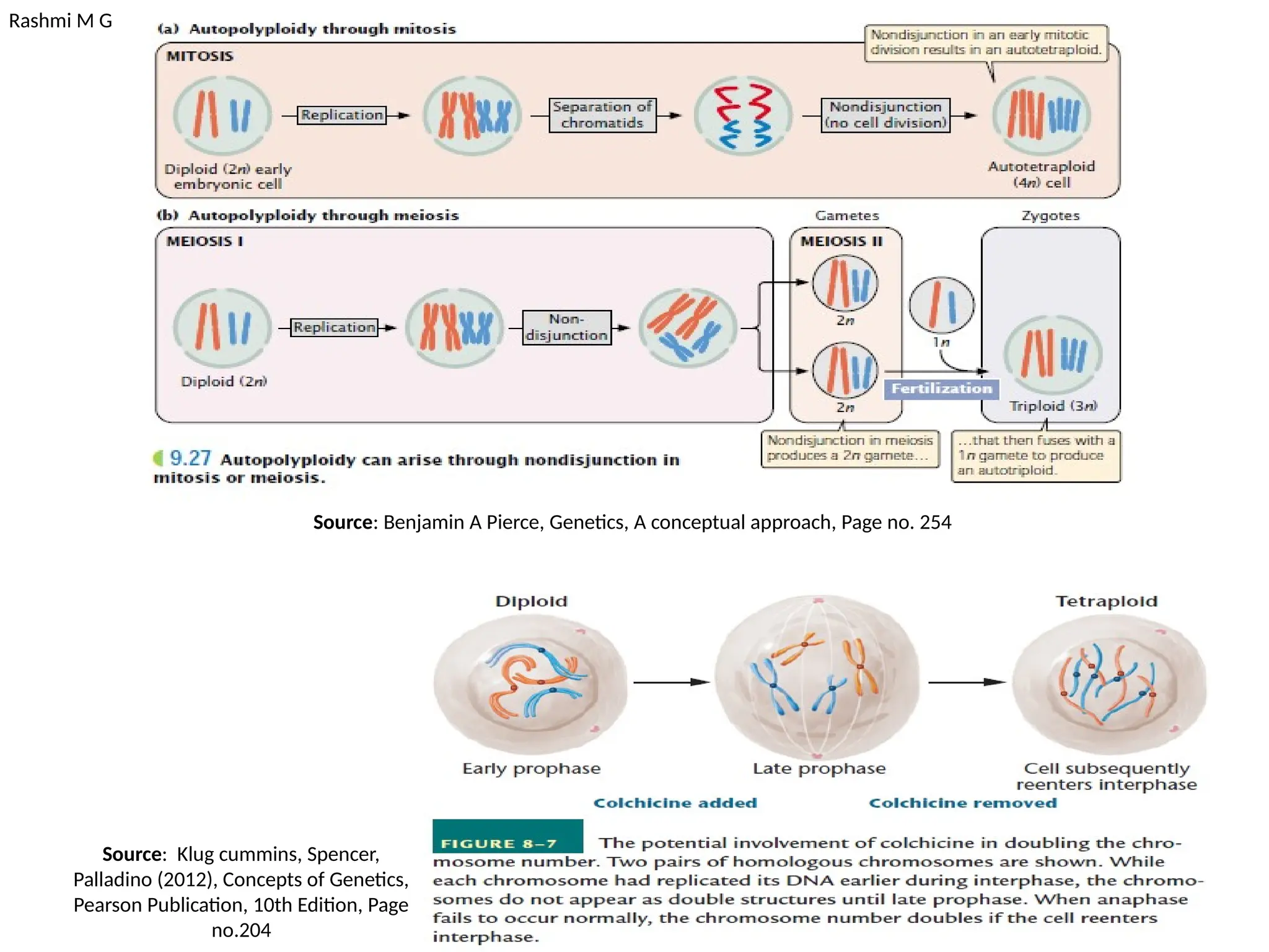 Rashmi M G
Source: Benjamin A Pierce, Genetics, A conceptual approach, Page no. 254
Source: Klug cummins, Spencer,
Palladino (2012), Concepts of Genetics,
Pearson Publication, 10th Edition, Page
no.204
 