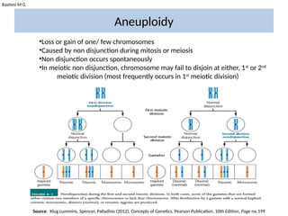 Rashmi M G
Aneuploidy
•Loss or gain of one/ few chromosomes
•Caused by non disjunction during mitosis or meiosis
•Non disjunction occurs spontaneously
•In meiotic non disjunction, chromosome may fail to disjoin at either, 1st
or 2nd
meiotic division (most frequently occurs in 1st
meiotic division)
Source: Klug cummins, Spencer, Palladino (2012), Concepts of Genetics, Pearson Publication, 10th Edition, Page no.199
 