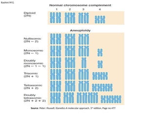 Rashmi M G
Source: Peter J Russell, iGenetics A molecular approach, 3rd
edition, Page no.477
 