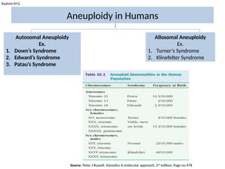 Rashmi M G
Aneuploidy in Humans
Autosomal Aneuploidy
Ex.
1. Down’s Syndrome
2. Edward’s Syndrome
3. Patau’s Syndrome
Allosomal Aneuploidy
Ex.
1. Turner’s Syndrome
2. Klinefelter Syndrome
Source: Peter J Russell, iGenetics A molecular approach, 3rd
edition, Page no.478
 