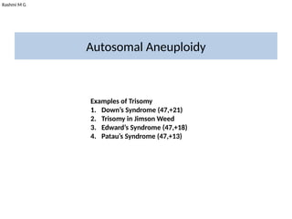 Rashmi M G
Autosomal Aneuploidy
Examples of Trisomy
1. Down’s Syndrome (47,+21)
2. Trisomy in Jimson Weed
3. Edward’s Syndrome (47,+18)
4. Patau’s Syndrome (47,+13)
 