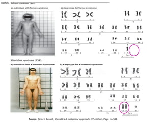 Rashmi M G
Source: Peter J Russell, iGenetics A molecular approach, 3rd
edition, Page no.348
 