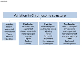 Rashmi M G
Variation in Chromosome structure
Deletion
Loss of
segment of
chromosome
Types:
Terminal
Interstitial
Duplication
Occurrence of
segment of
chromosome in 2/
more copies per
genome
Types:
Tandem
Reverse
Inversion
Break of segment
and rotated before
rejoining
Types:
Pericentric
Paracentric
Heterozygous
Homozygous
Translocation
2 non homologous
chromosome
exchanges and
rearrangement of
segment happens
Types:
Reciprocal
Non reciprocal
 