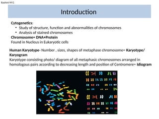 Rashmi M G
Introduction
Cytogenetics:
• Study of structure, function and abnormalities of chromosomes
• Analysis of stained chromosomes
Chromosome= DNA+Protein
Found in Nucleus in Eukaryotic cells
Human Karyotype- Number , sizes, shapes of metaphase chromosome= Karyotype/
Karyogram
Karyotype consisting photo/ diagram of all metaphasic chromosomes arranged in
homologous pairs according to decreasing length and position of Centromere= Idiogram
 