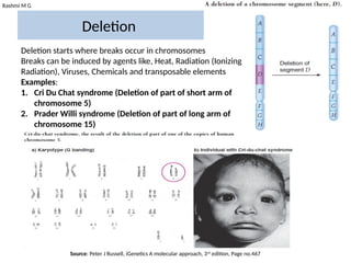 Rashmi M G
Deletion
Deletion starts where breaks occur in chromosomes
Breaks can be induced by agents like, Heat, Radiation (Ionizing
Radiation), Viruses, Chemicals and transposable elements
Examples:
1. Cri Du Chat syndrome (Deletion of part of short arm of
chromosome 5)
2. Prader Willi syndrome (Deletion of part of long arm of
chromosome 15)
Source: Peter J Russell, iGenetics A molecular approach, 3rd
edition, Page no.467
 