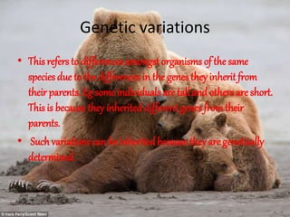 Genetic variations
• This refers to differences amongst organisms of the same
species due to the differences in the genes they inherit from
their parents.Eg some individuals are tall and others are short.
This is because they inherited different genes fromtheir
parents.
• Such variations can be inheritedbecause they are genetically
determined.
 