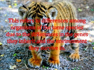 This refers to differences among
organisms of the same species
due to the differences in the genes
they inherit and the environment
they survive in.
 