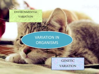 VARIATION IN
ORGANISMS
GENETIC
VARIATION
ENVIRONMENTAL
VARIATION
 