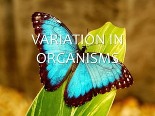 VARIATION IN
ORGANISMS
 