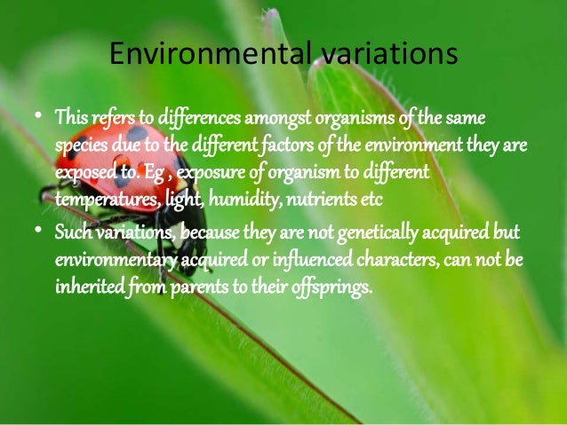 what are the different types of variation and their causes