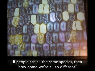 if people are all the same species, then
    how come we’re all so different?
 
