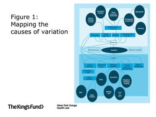 Figure 1: Mapping the  causes of variation 
