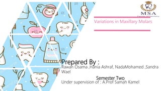 Variations in Maxillary Molars
Prepared By :
Rawan Osama ,Hania Ashraf, NadaMohamed ,Sandra
Wael
Semester Two
Under supervision of : A.Prof Samah Kamel
 