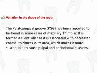 Variation in the shape of the root:
The Palatogingival groove (PGG) has been reported to
be found in some cases of maxillary 3rd molar. It is
termed a silent killer as it is associated with decreased
enamel thickness in its area, which makes it more
susceptible to cause pulpal and periodontal diseases.
 
