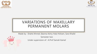 VARIATIONS OF MAXILLARY
PERMANENT MOLARS
Made by : Shahd Ahmed ,Basma Ashry Hala Hisham, Sara Khalid
Semester two
Under supervision of : A.Prof Samah Kamel
 