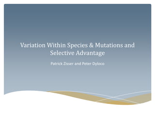 Variation Within Species & Mutations and Selective Advantage Patrick Zisser and Peter Dyloco 
