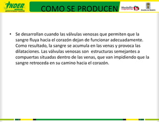 COMO SE PRODUCEN

• Se desarrollan cuando las válvulas venosas que permiten que la
  sangre fluya hacia el corazón dejan de funcionar adecuadamente.
  Como resultado, la sangre se acumula en las venas y provoca las
  dilataciones. Las válvulas venosas son estructuras semejantes a
  compuertas situadas dentro de las venas, que van impidiendo que la
  sangre retroceda en su camino hacia el corazón.
 