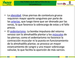 FACTORES QUE INFLUYEN EN SU
                     DESARROLLO



• La obesidad. Unas piernas de contextura gruesa
  requieren mayor aporte sanguíneo por parte de
  las arterias, que luego tiene que ser drenado por las
  venas, lo que favorece la sobrecarga de estas y el fallo
  precoz.
• El sedentarismo. La bomba impulsora del retorno
  venoso son la almohadilla plantar y los músculos de
  las piernas; como el sedentarismo no favorece la
  contracción muscular ni la puesta en funcionamiento
  de la almohadilla plantar, se provoca un mayor
  estancamiento de sangre y una mayor sobrecarga
  valvular, lo que facilita la aparición de más varices.
 