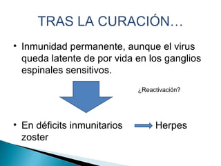 TRAS LA CURACIÓN… Inmunidad permanente, aunque el virus queda latente de por vida en los ganglios espinales sensitivos. ¿Reactivación? En déficits inmunitarios  Herpes zoster 