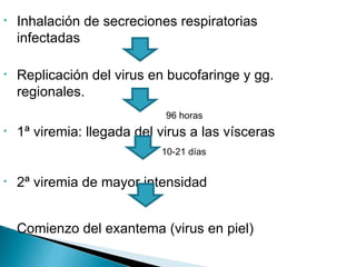 Inhalación de secreciones respiratorias infectadas Replicación del virus en bucofaringe y gg. regionales.  96 horas 1ª viremia: llegada del virus a las vísceras 10-21 días 2ª viremia de mayor intensidad  Comienzo del exantema (virus en piel) 