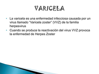 • La varicela es una enfermedad infecciosa causada por un
  virus llamado “Varicela zoster” (VVZ) de la familia
  herpesvirus
• Cuando se produce la reactivación del virus VVZ provoca
  la enfermedad de Herpes Zoster
 