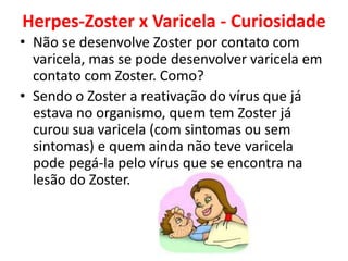 Herpes-Zoster x Varicela - Curiosidade 
• Não se desenvolve Zoster por contato com 
varicela, mas se pode desenvolver varicela em 
contato com Zoster. Como? 
• Sendo o Zoster a reativação do vírus que já 
estava no organismo, quem tem Zoster já 
curou sua varicela (com sintomas ou sem 
sintomas) e quem ainda não teve varicela 
pode pegá-la pelo vírus que se encontra na 
lesão do Zoster. 
 