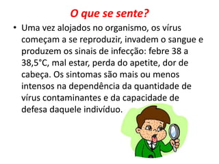 O que se sente? 
• Uma vez alojados no organismo, os vírus 
começam a se reproduzir, invadem o sangue e 
produzem os sinais de infecção: febre 38 a 
38,5°C, mal estar, perda do apetite, dor de 
cabeça. Os sintomas são mais ou menos 
intensos na dependência da quantidade de 
vírus contaminantes e da capacidade de 
defesa daquele indivíduo. 
 
