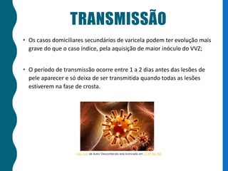 TRANSMISSÃO
• Os casos domiciliares secundários de varicela podem ter evolução mais
grave do que o caso índice, pela aquisição de maior inóculo do VVZ;
• O período de transmissão ocorre entre 1 a 2 dias antes das lesões de
pele aparecer e só deixa de ser transmitida quando todas as lesões
estiverem na fase de crosta.
Esta Foto de Autor Desconhecido está licenciado em CC BY-NC-ND
 