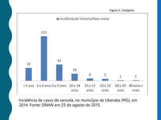 Incidência de casos de varicela, no município de Uberaba (MG), em
2014. Fonte: SINAN em 25 de agosto de 2015.
 