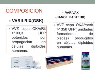 Varilrix Sticker ESQUEMA DE VACUNACION EN NIÑOSVARICELA.pptx