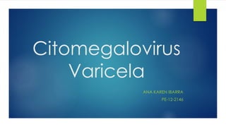 Citomegalovirus
Varicela
ANA KAREN IBARRA
PE-12-2146
 